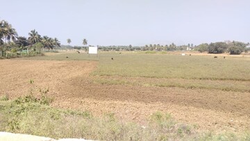 Plot Area in  Land at Devanahalli – for Sale