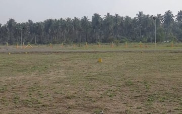 Plot For Sale in Kinathukadavu