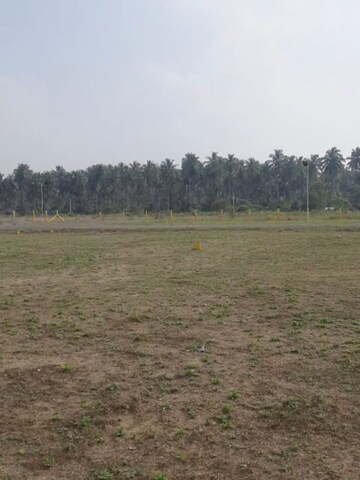  Plot For Sale in Kinathukadavu