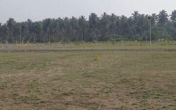 Plot For Sale in Kinathukadavu