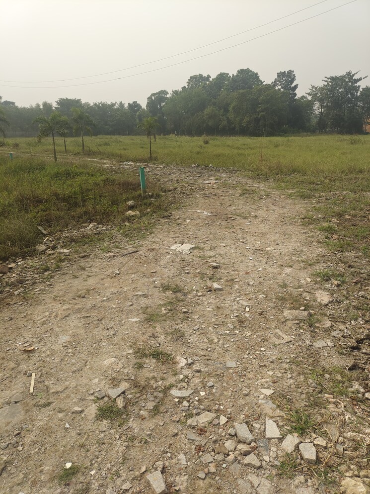 undefined, joka  2880 Sq.Ft. Plot In Joka Kolkata 8069143