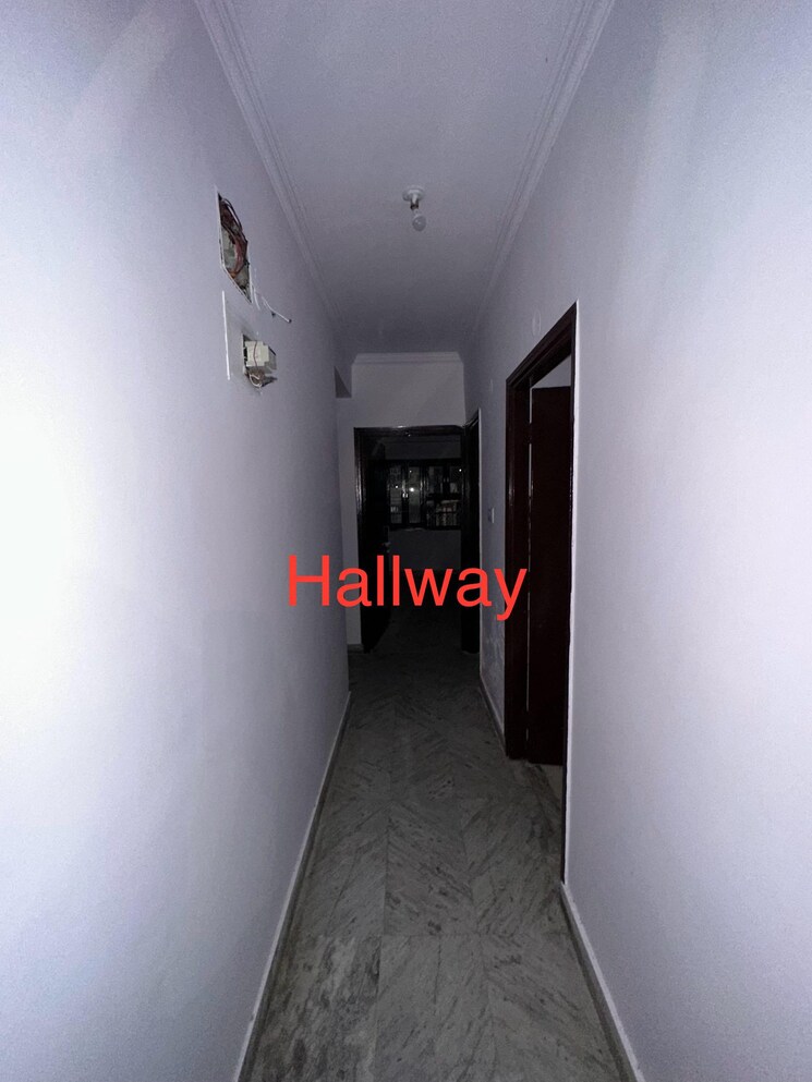 undefined, exhibition road 3 Bedroom 1400 Sq.Ft. Apartment In Exhibition Road Patna 8069144