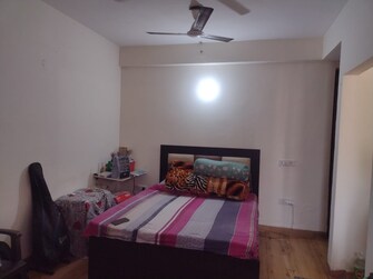 1 BHK Apartment For Rent in Urbtech Xaviers Sector 168 Noida  8069173