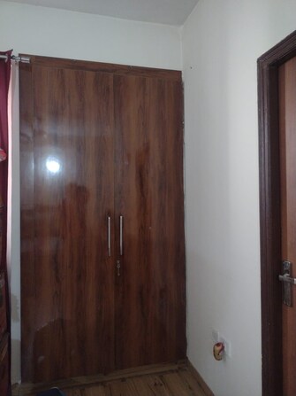 1 BHK Apartment For Rent in Urbtech Xaviers Sector 168 Noida  8069173