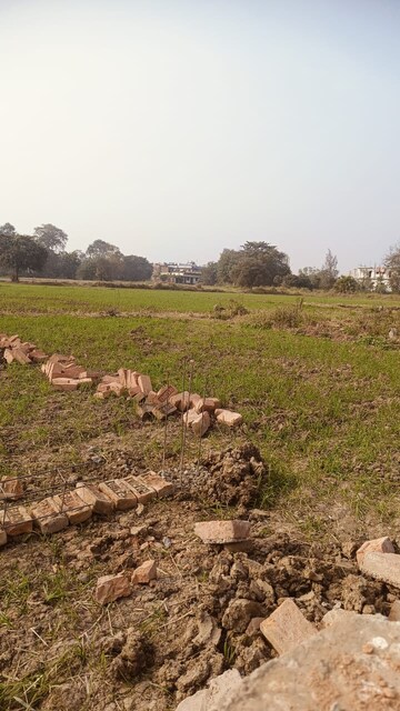 Plot Area in  Plot at Jaganpura – for Sale