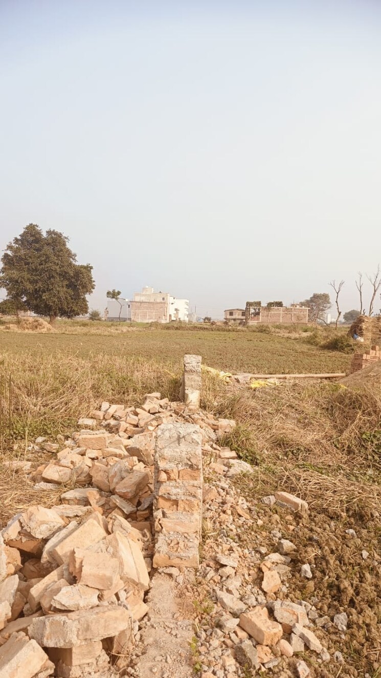 undefined, jaganpura  600 Sq.Ft. Plot In Jaganpura Patna 8069206