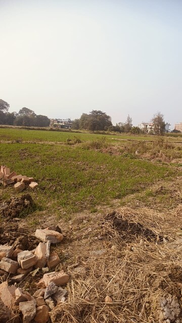 Plot Area in  Plot at Jaganpura – for Sale