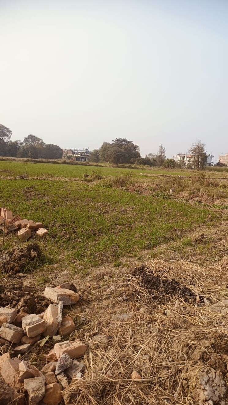 undefined, jaganpura  600 Sq.Ft. Plot In Jaganpura Patna 8069206