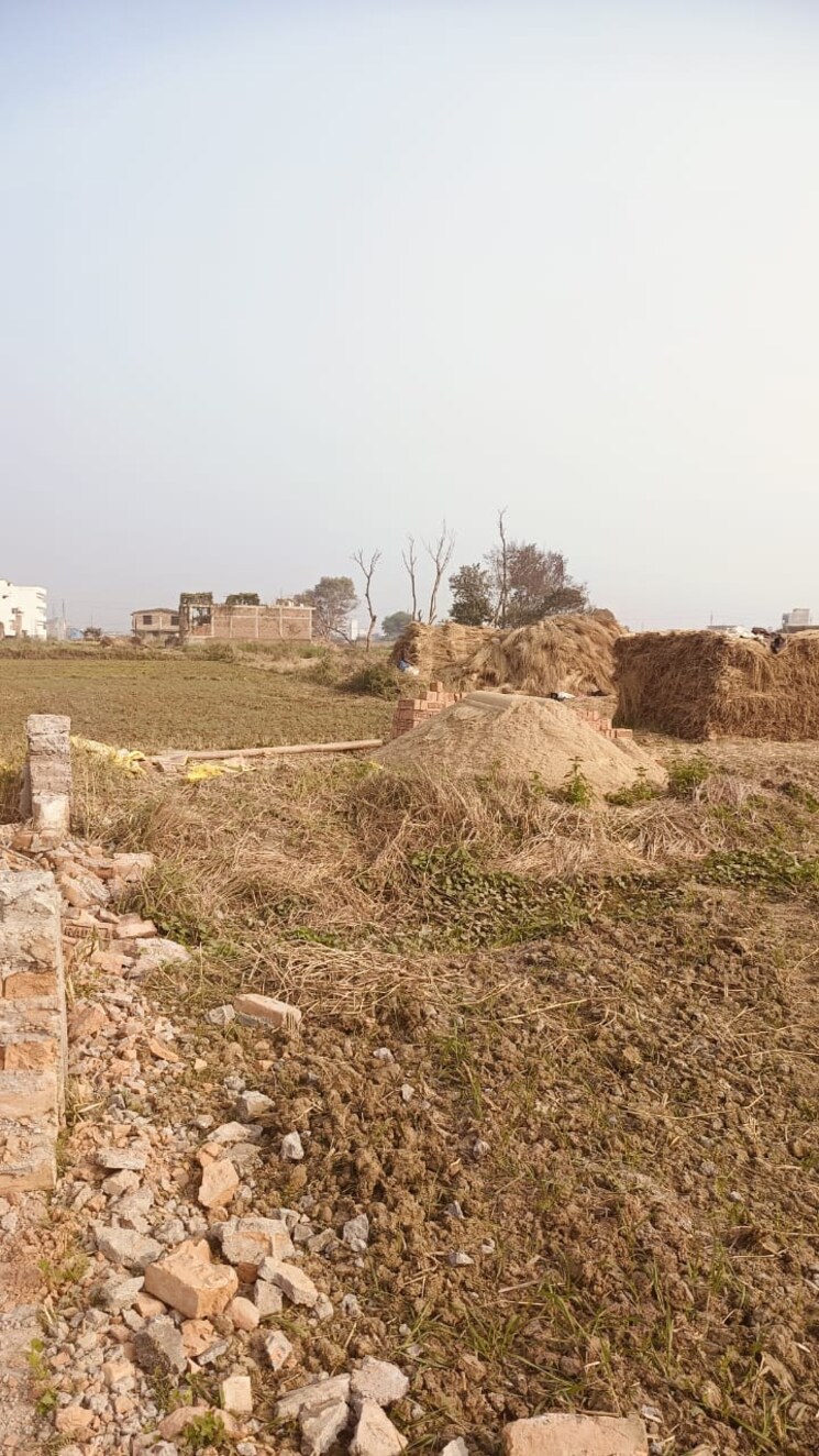 undefined, jaganpura  600 Sq.Ft. Plot In Jaganpura Patna 8069206