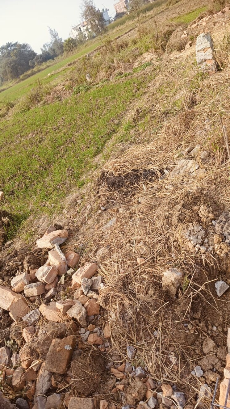 undefined, jaganpura  600 Sq.Ft. Plot In Jaganpura Patna 8069206