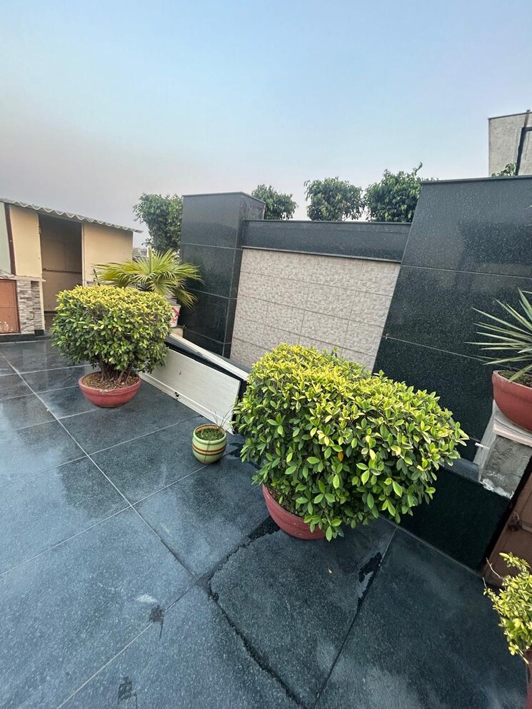 Garden, green park 4 Bedroom 2700 Sq.Ft. Builder Floor In Green Park Delhi 8069250