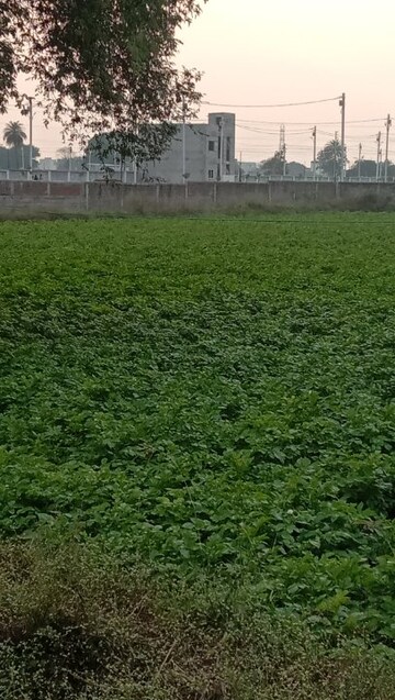 Plot Area in  Plot at Khandwa Road – for Sale