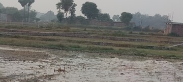 Plot Area in  Plot at Wazirganj – for Sale