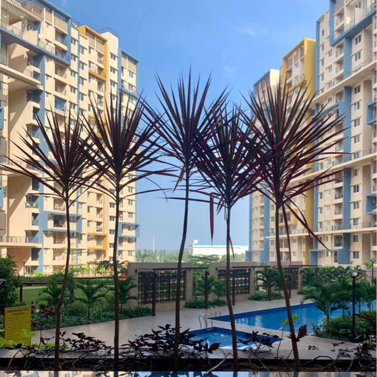 Exterior View, salarpuria-east-crest 3 Bedroom 1404 Sq.Ft. Apartment In Konadasapura Bangalore 8069537