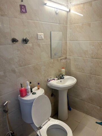 Bathroom in 1 RK Apartment at Spring Meadows, Tech Zone 4 Greater Noida – for Rent