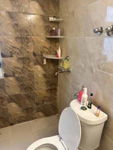 Bathroom in 1 RK Apartment at Spring Meadows, Tech Zone 4 Greater Noida – for Rent