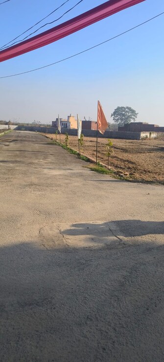 Plot For Resale in Jindal Nagar Ghaziabad  8069972