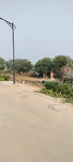 137 Sq.Yd. Plot in Meffier Golden Park