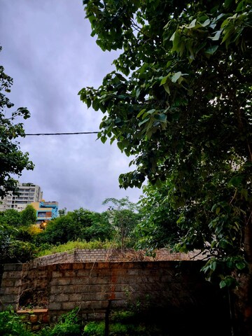  Plot – Exterior View View at Gangasandra - for Sale