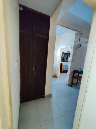 3 BHK Apartment For Rent in Vandana Flora Hsr Layout Bangalore  8070188