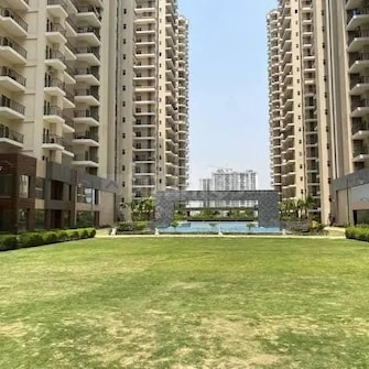 2 BHK Apartment For Resale in Amaatra Homes Sector 10 Greater Noida Greater Noida  8070158