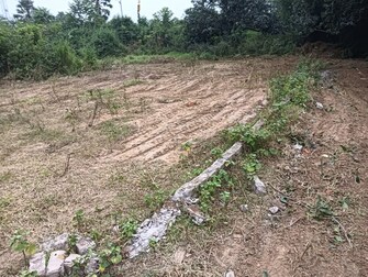 Plot For Resale in Danapur Khagaul Road Patna  8070422