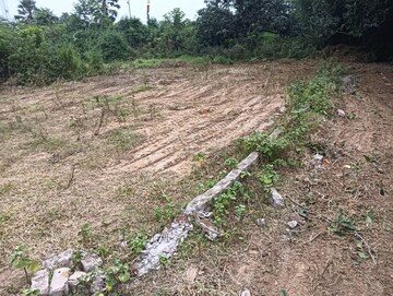 Plot Area in  Plot at Danapur Khagaul Road – for Sale