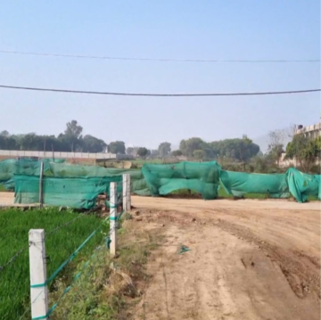 Plot Area in  Plot at Dankaur Inner Township, Dankaur – for Sale