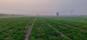 Plot Area in  Land at Resham Majri Grant – for Sale