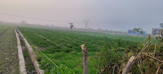 Commercial Land 18392 Sq.Ft. For Resale in Resham Majri Grant Dehradun  8070642