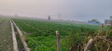 Plot Area in  Land at Resham Majri Grant – for Sale