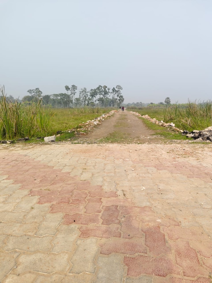 undefined, khidirpur  1440 Sq.Ft. Plot In Khidirpur Kolkata 8070697