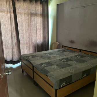 2 BHK Apartment For Rent in TDI City Kingsbury Sector 61 Sonipat  8070762