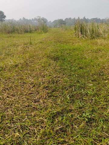 Plot Area in  Plot at Batanagar – for Sale