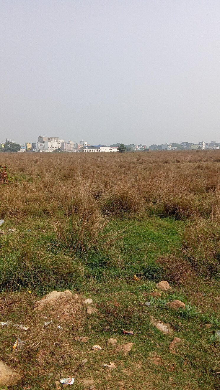 undefined, tankapani road  1900 Sq.Ft. Plot In Tankapani Road Bhubaneswar 8070781