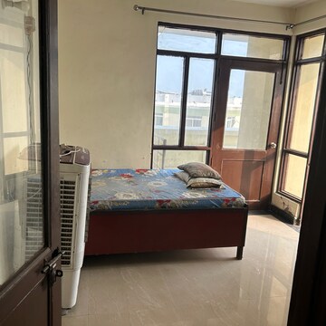 1 BHK Apartment For Rent in TDI City Kingsbury Sector 61 Sonipat  8070795