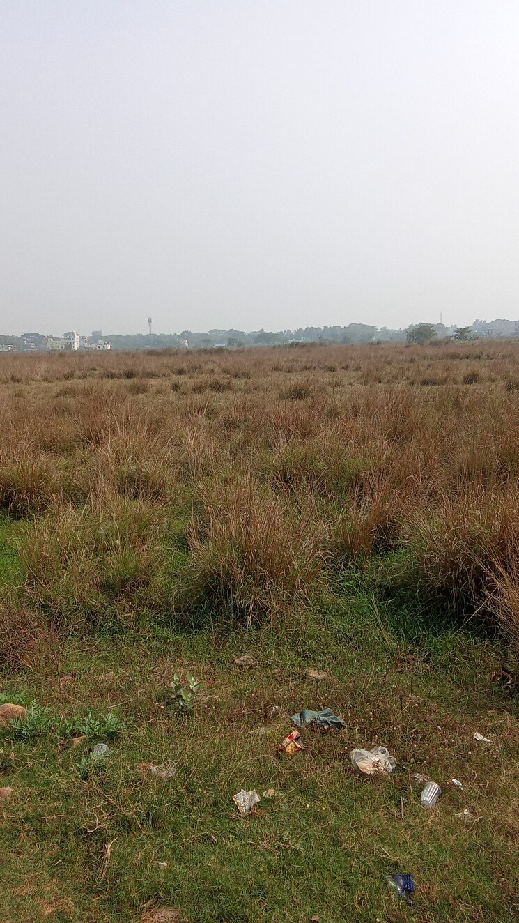 undefined, tankapani road  1900 Sq.Ft. Plot In Tankapani Road Bhubaneswar 8070781