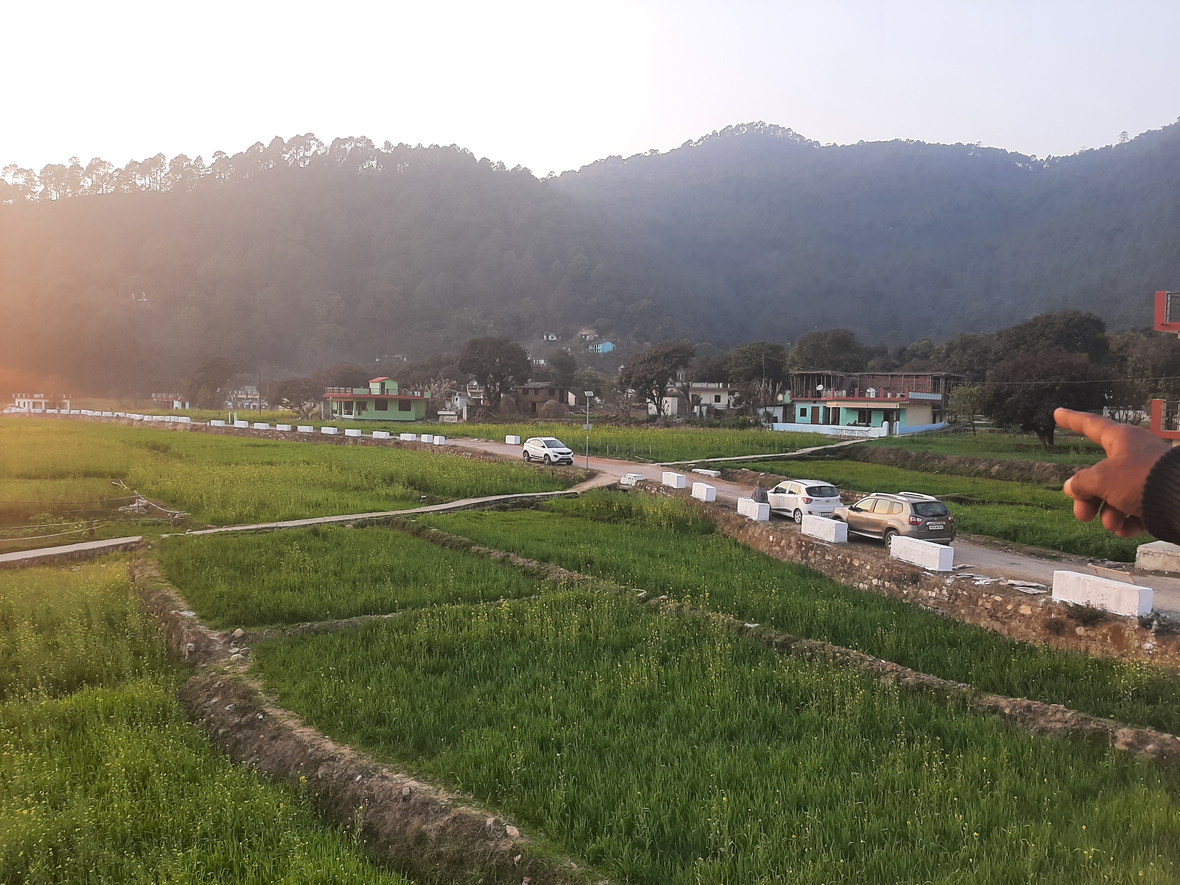 Plot For Sale in Sector 70