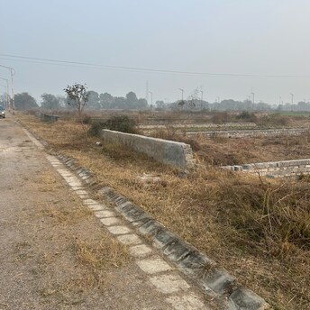 Plot For Resale in TDI City Kundli Sector 61 Sonipat  8070954