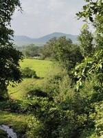 50 Acre Plot in Igatpuri