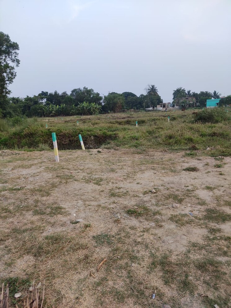 undefined, joka  2880 Sq.Ft. Plot In Joka Kolkata 8071117