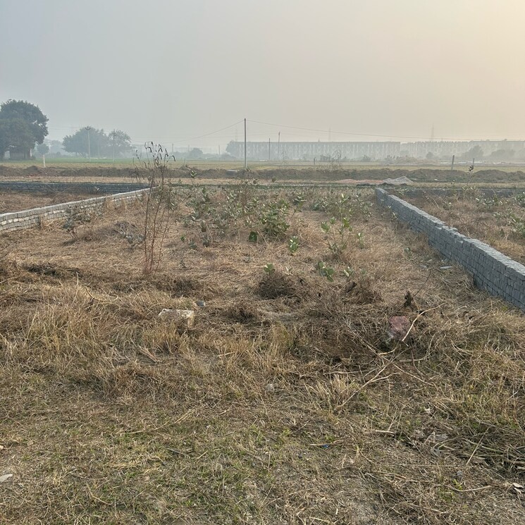 undefined, tdi-city-kingsbury  250 Sq.Yd. Plot In Sector 61 Sonipat 8071165