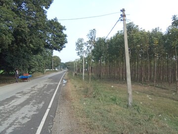 Plot Area in  Land at Kashipur Road – for Sale