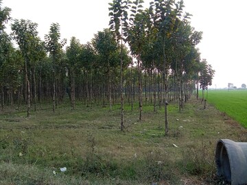 Plot Area in  Land at Kashipur Road – for Sale