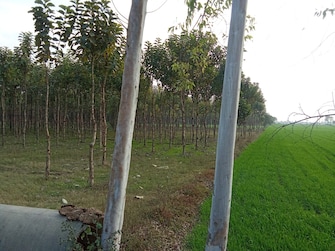 Commercial Land 72 Acre For Resale in Kashipur Road Kashipur  8071228