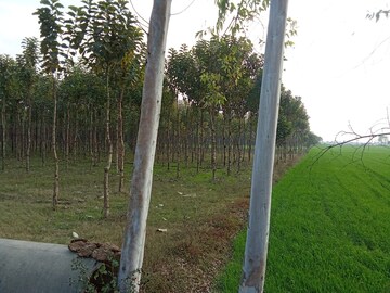 Plot Area in  Land at Kashipur Road – for Sale