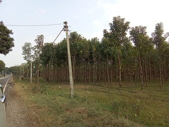 Commercial Land 72 Acre For Resale in Kashipur Road Kashipur  8071228