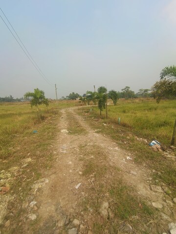  Plot For Sale in Joka
