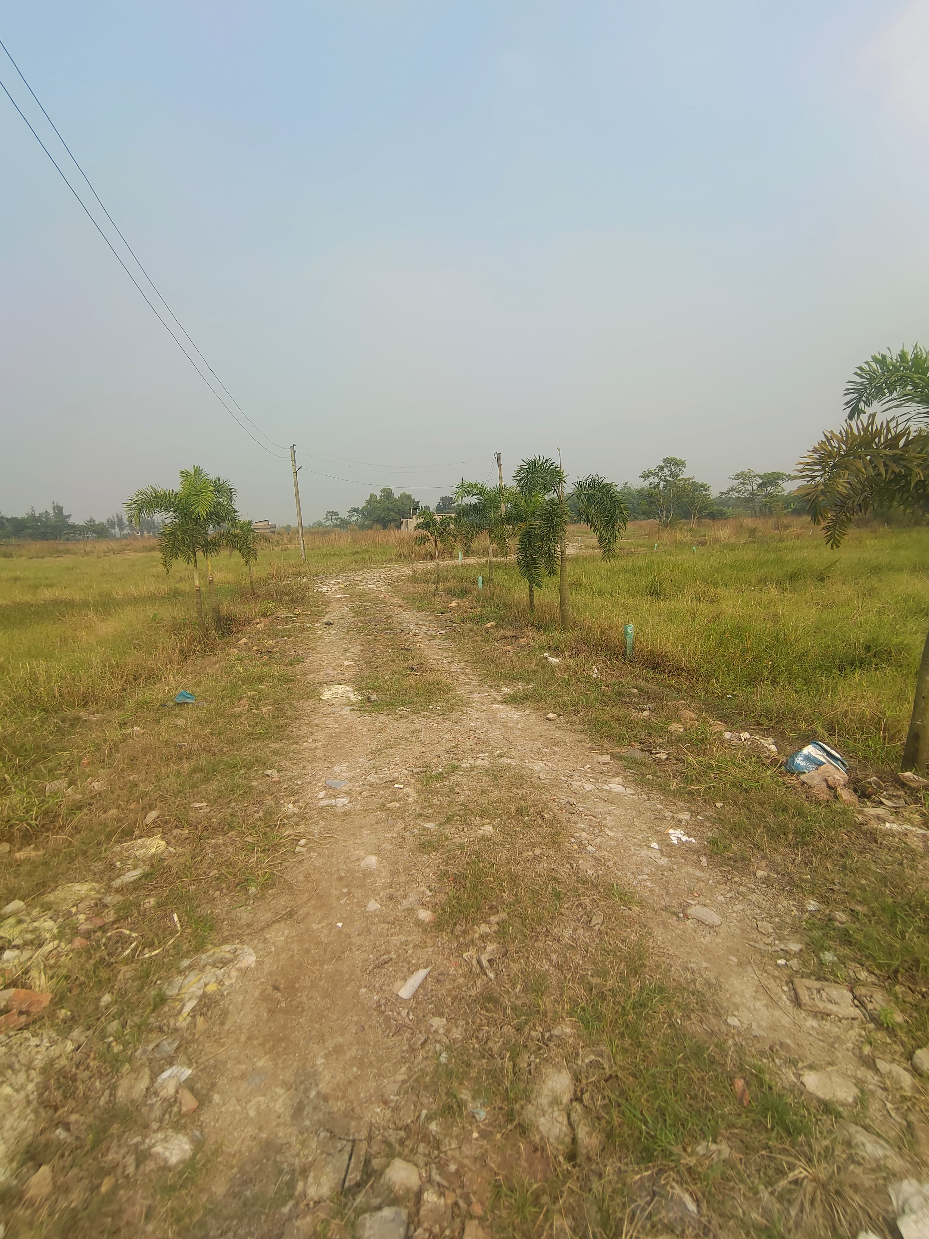 Plot For Sale in Green Plaza 