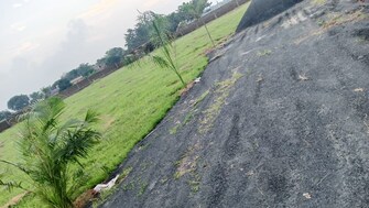 Plot For Resale in Bit Mesra Ranchi  8071271